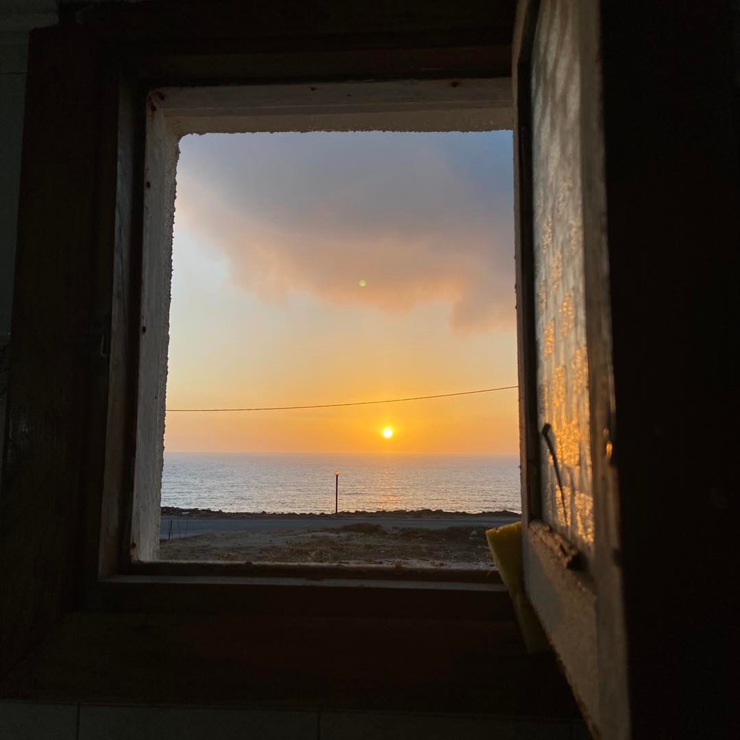 Surfvival - Every days window view! We like! #surfvival #surf # ...