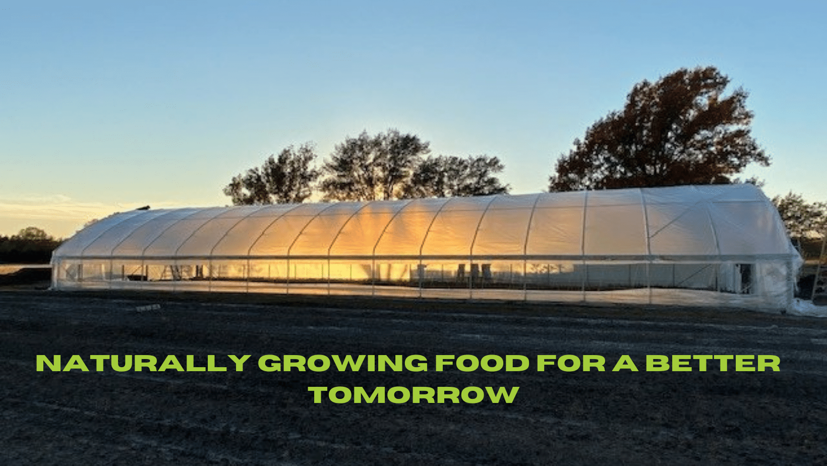 Strong Roots Healthy Farming LLC | Valley Center KS
