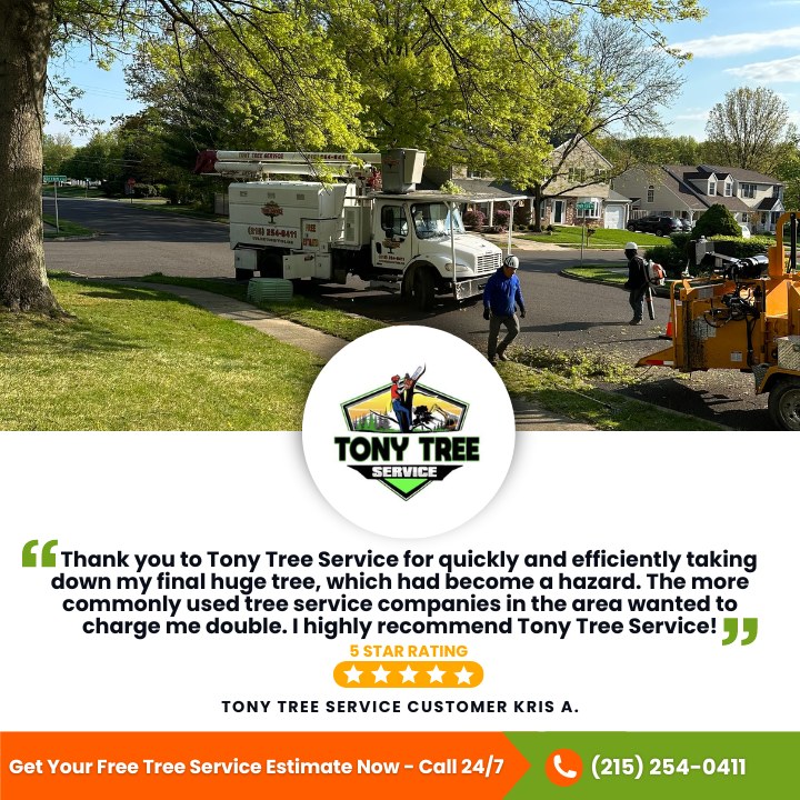 Tony Tree Service | Levittown PA