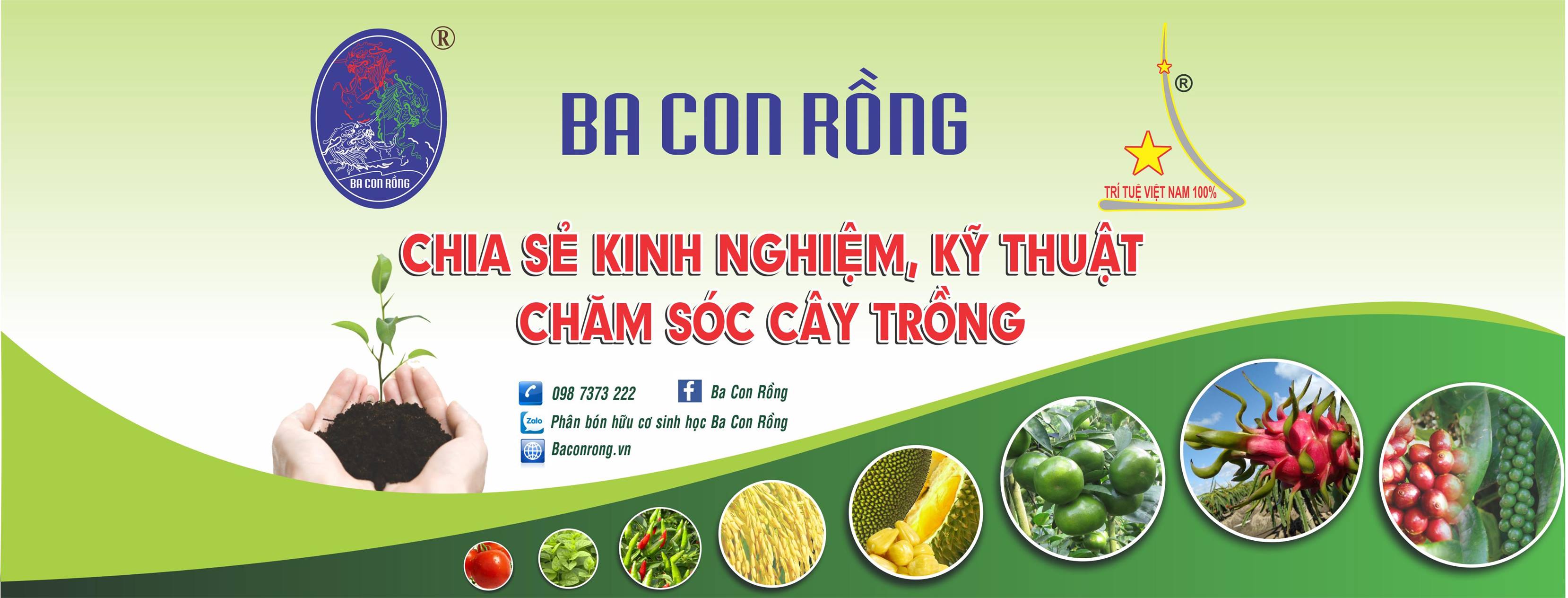 Ba Con Rồng | Ho Chi Minh City
