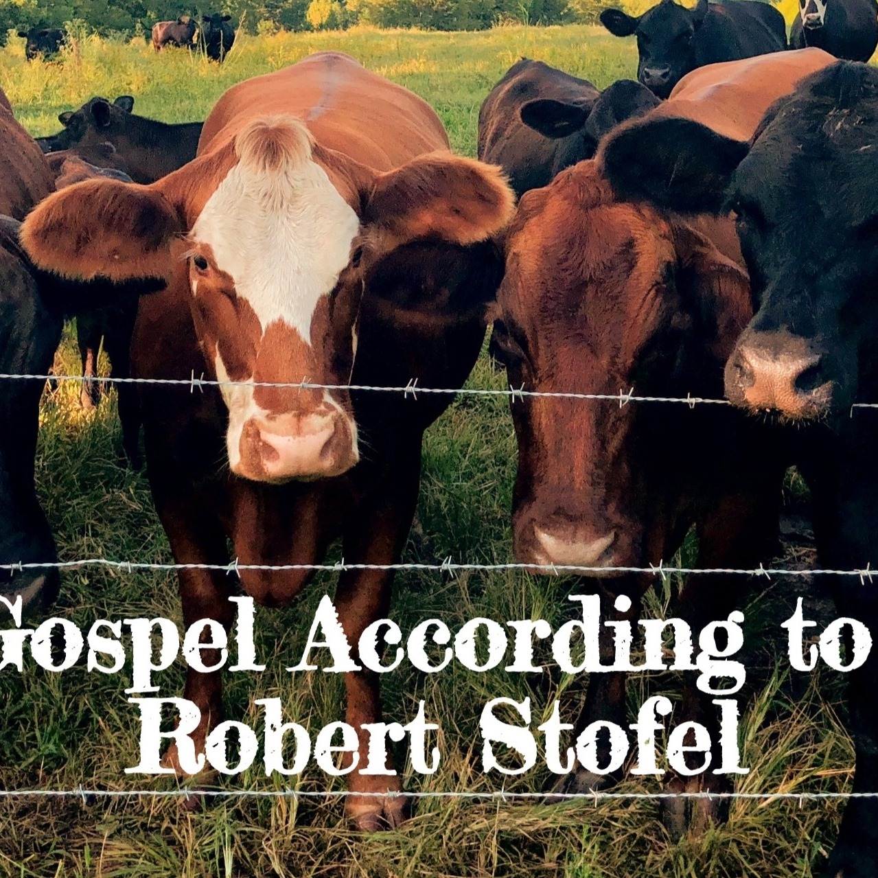 Does the World Have a Belly Button? | Sunday With the Cows