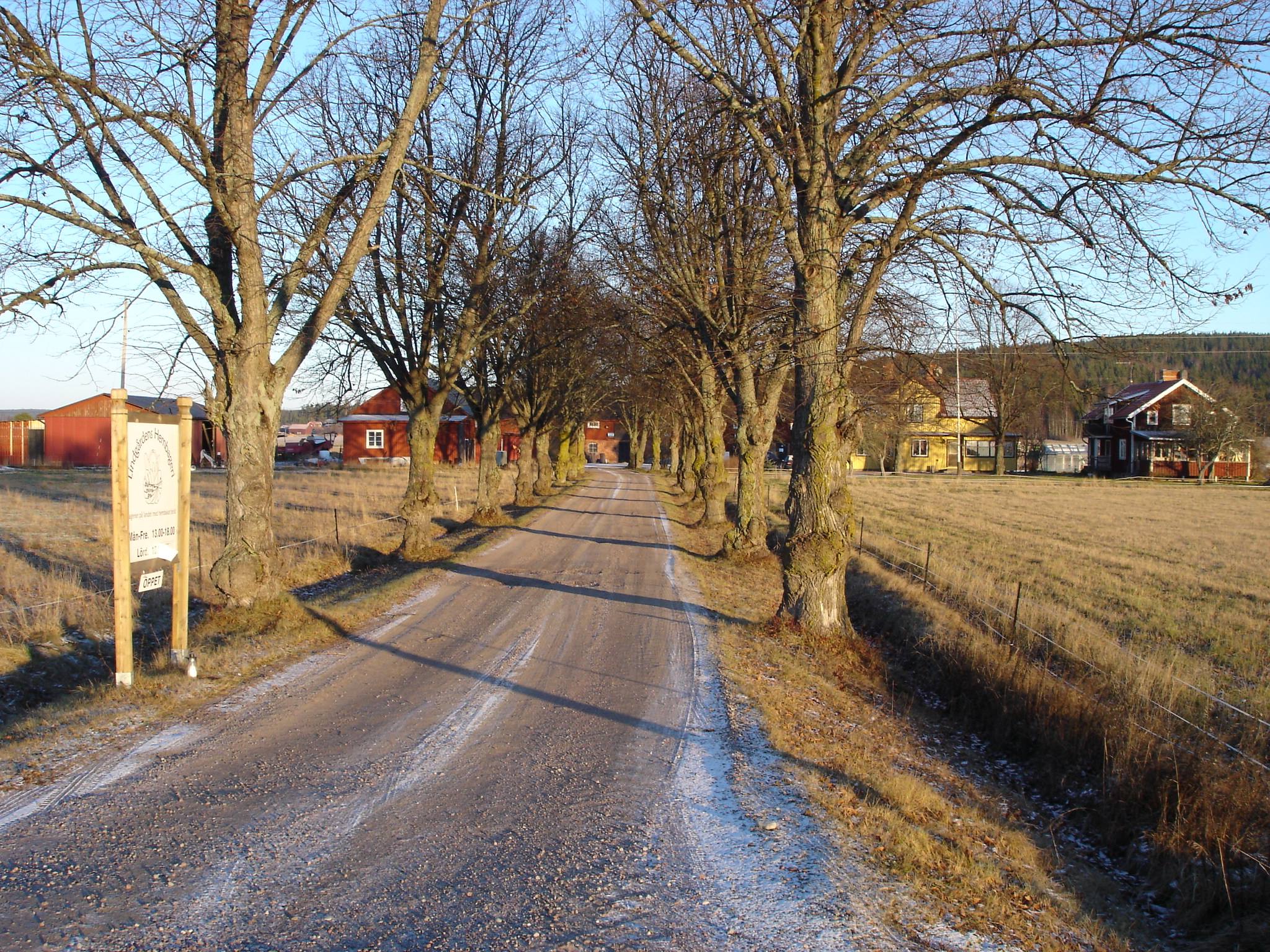 Säterdalen - Säterdalen added a new photo.