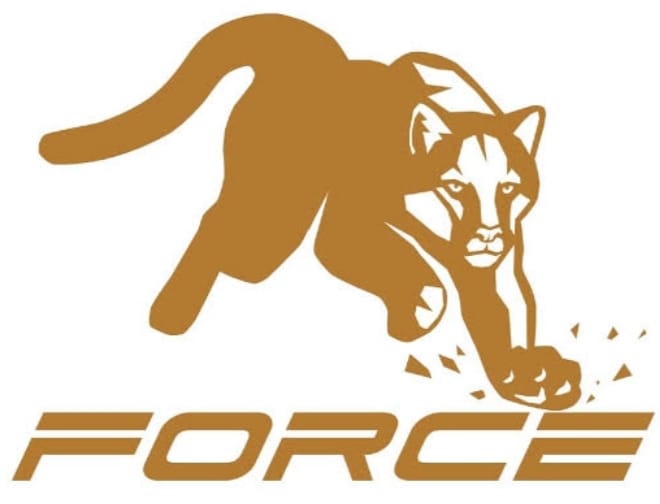 MetaForce 🐯 Pakistan