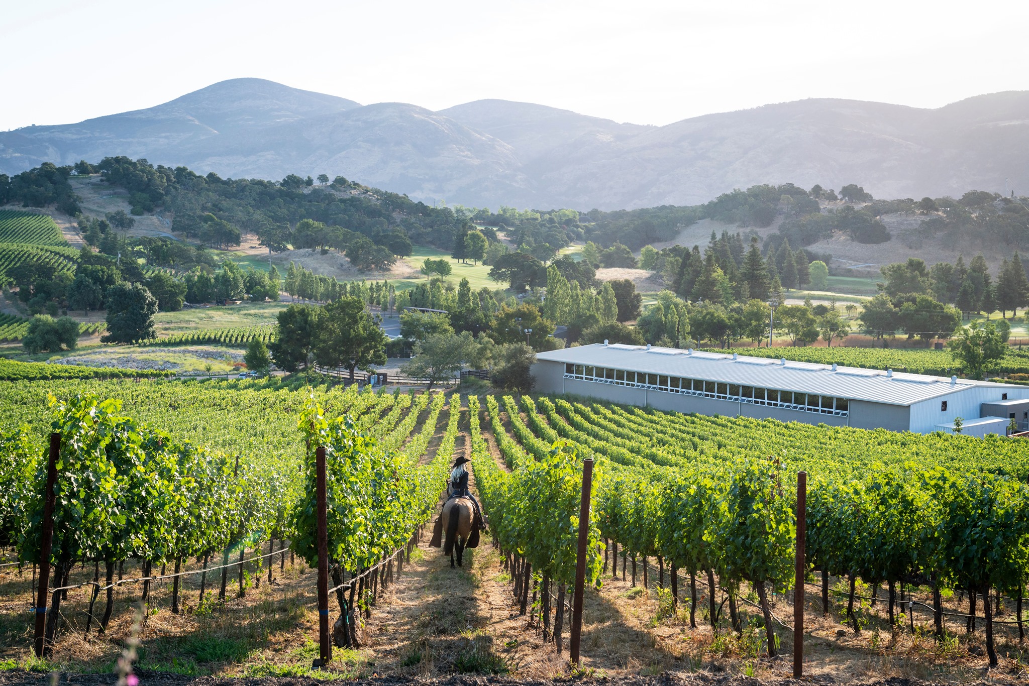 Napa Valley Trail Rides | Napa CA