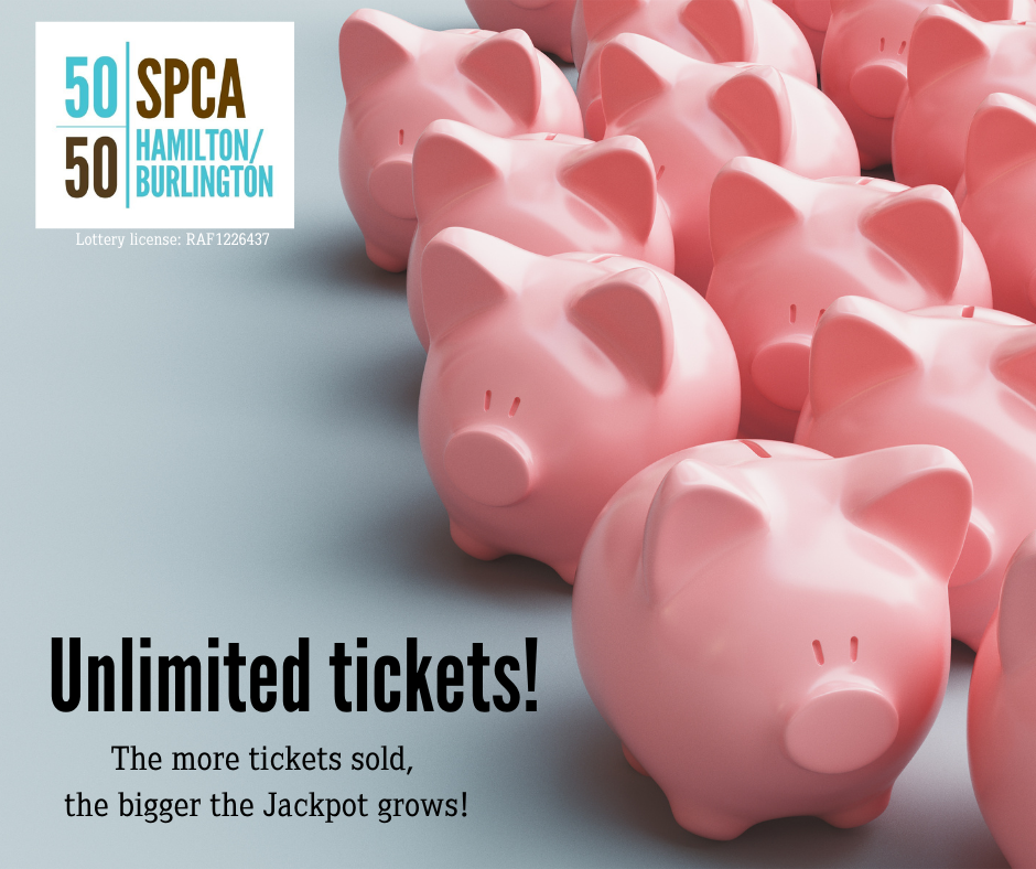 Have you seen how much the... - Hamilton/Burlington SPCA | Facebook