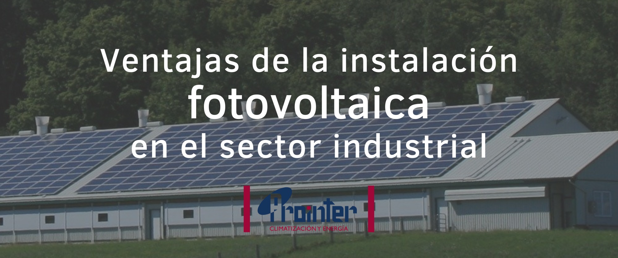 Prointer - 👉 La instalación fotovoltaica aporta grandes... | Facebook