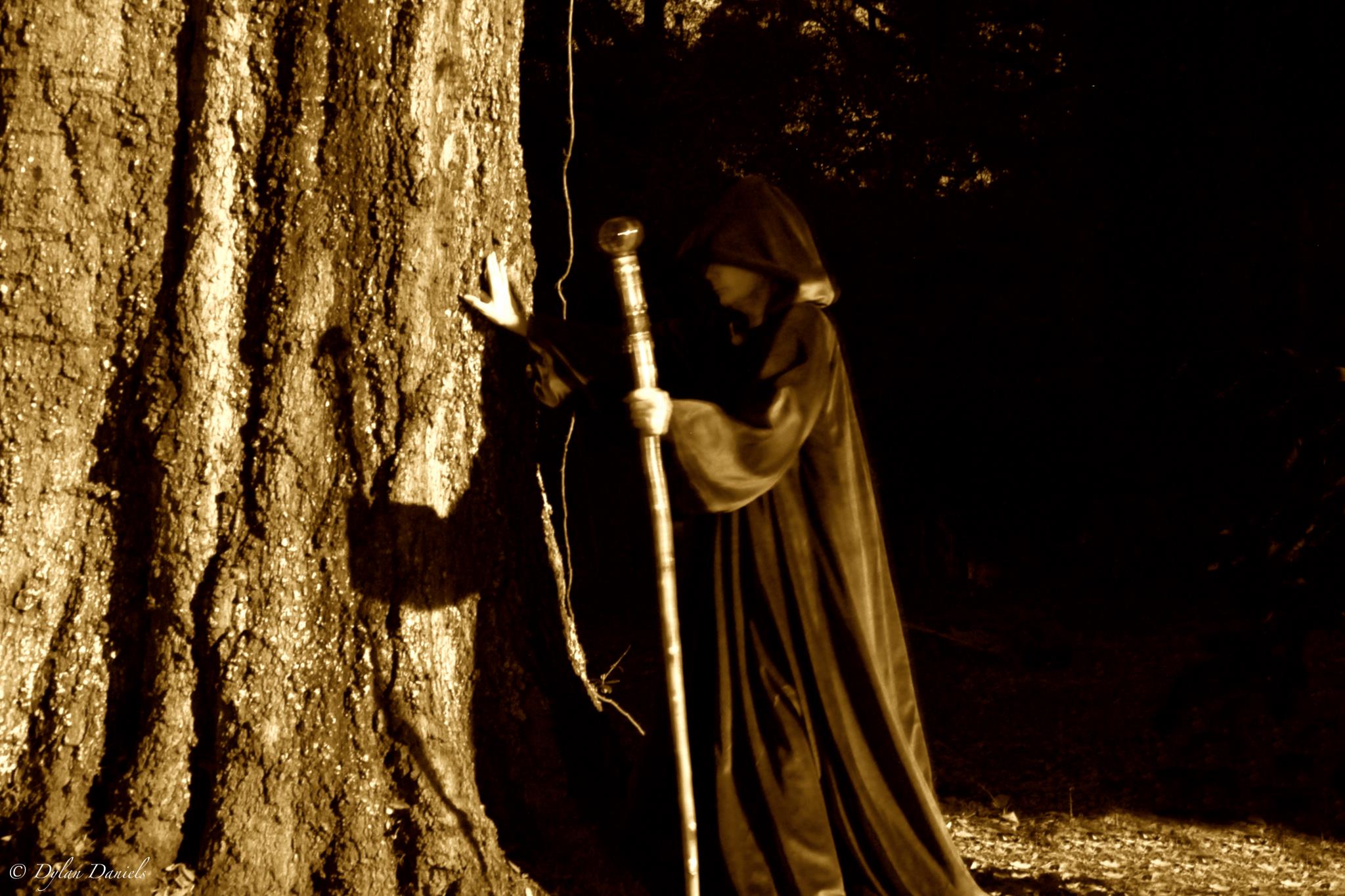 Author - Rollo, is a character based on the Norwegian Viking Gange-Rolf ...