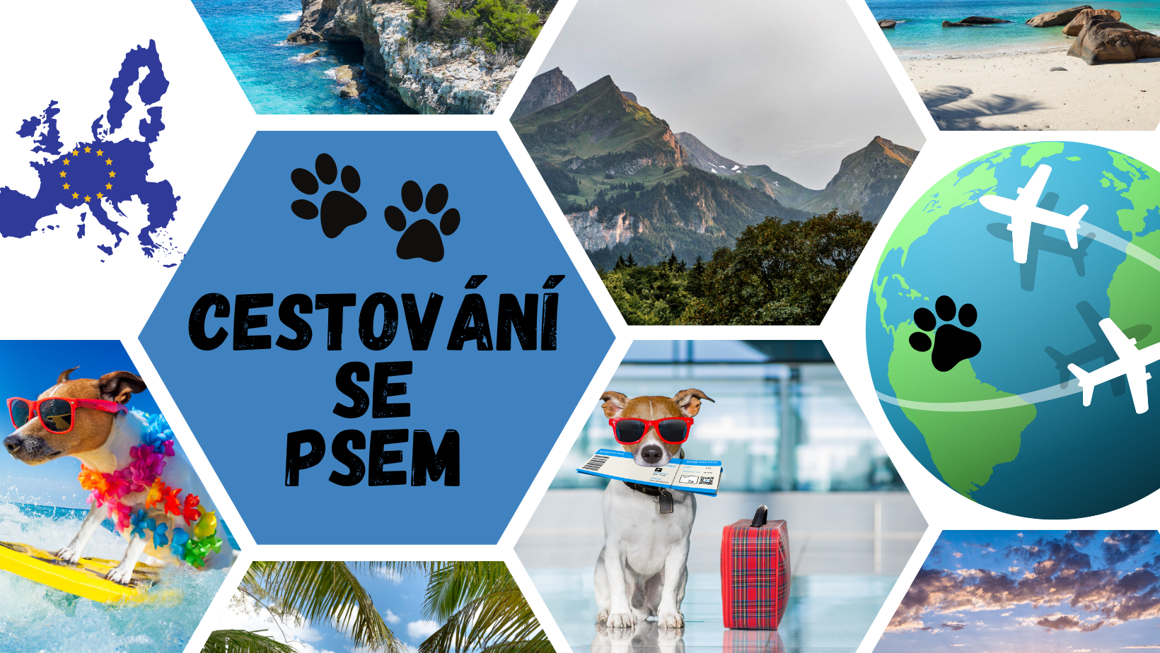 Dovolená se psem added a new photo. - Dovolená se psem