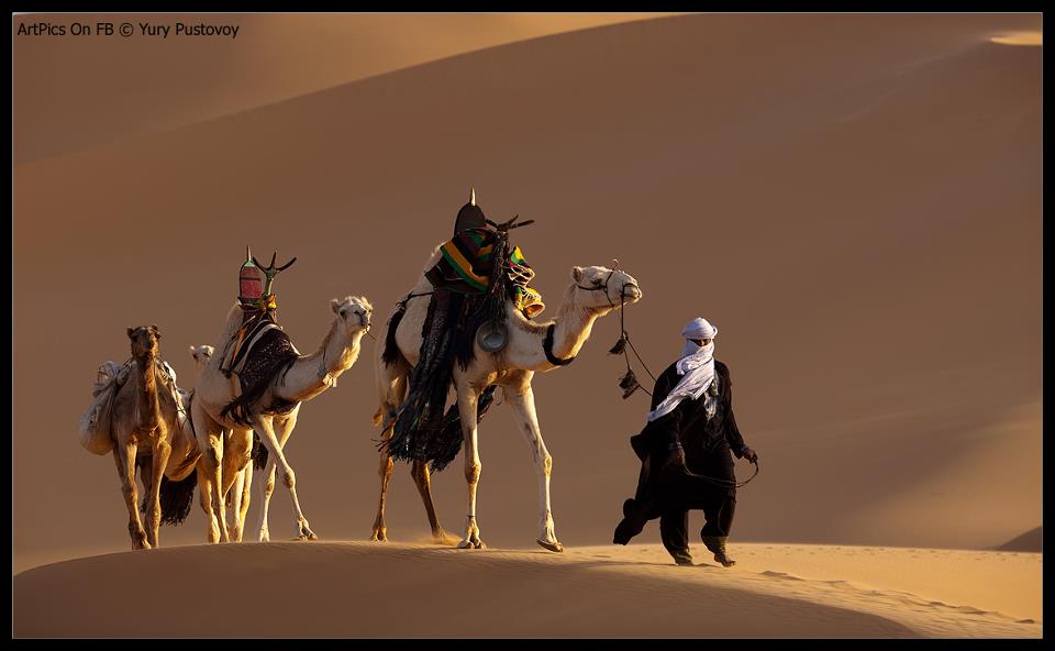 تغريدة الشعر العربى - تغريدة الشـــــــعر العربي السعيد عبد العاطي ...