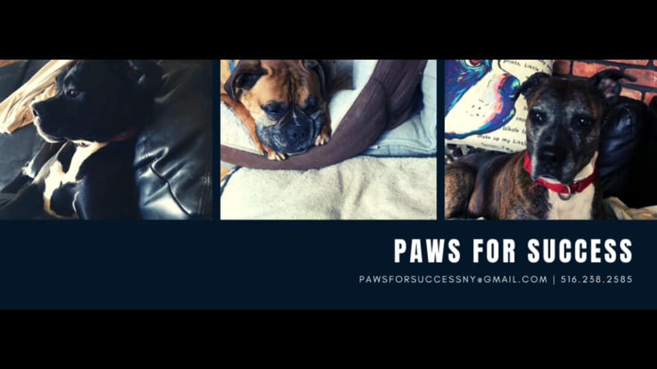 Paws for Success