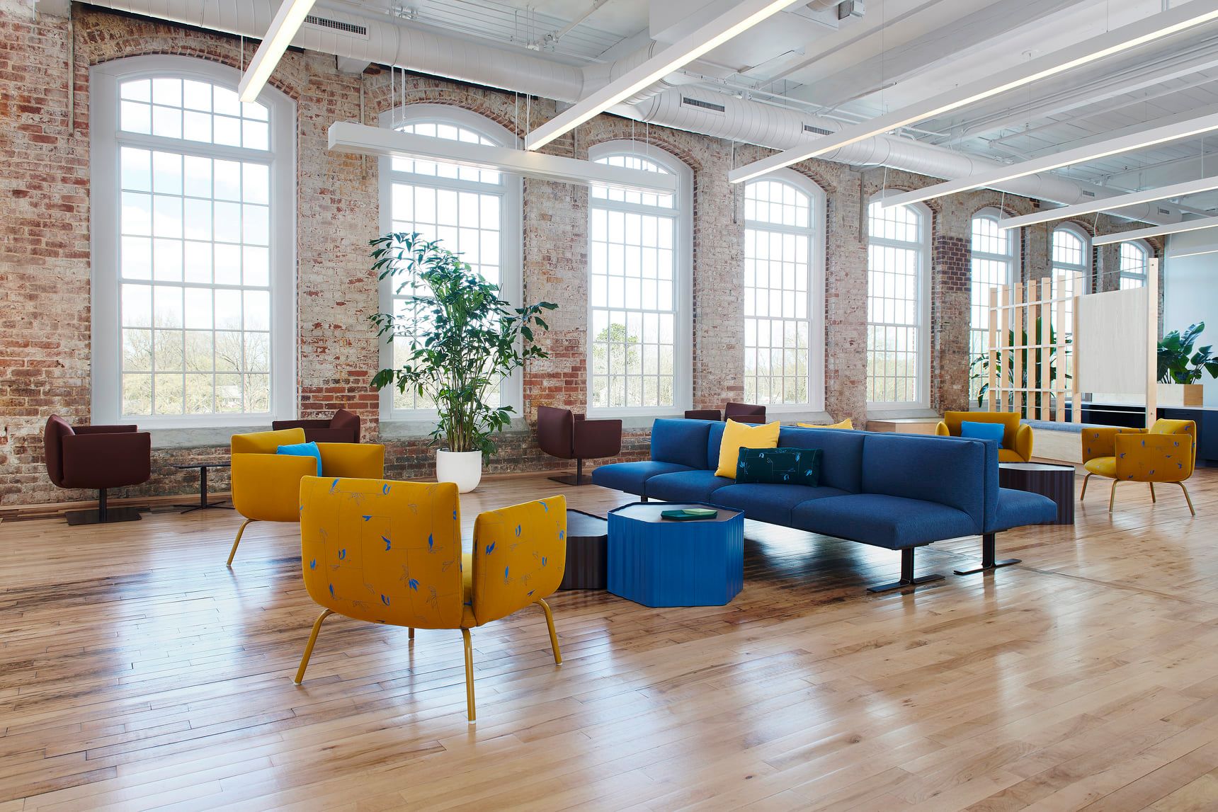 Launching in September! Vettore, by... - Office Revolution | Facebook