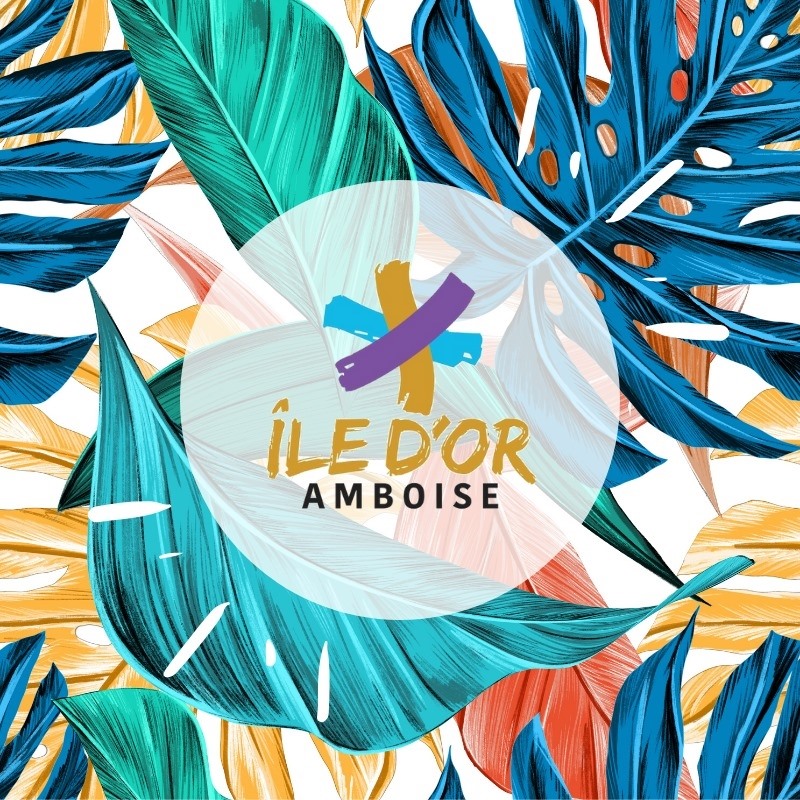 ethic-etapes-ile-ethic-etapes-ile-d-or-mjc-amboise