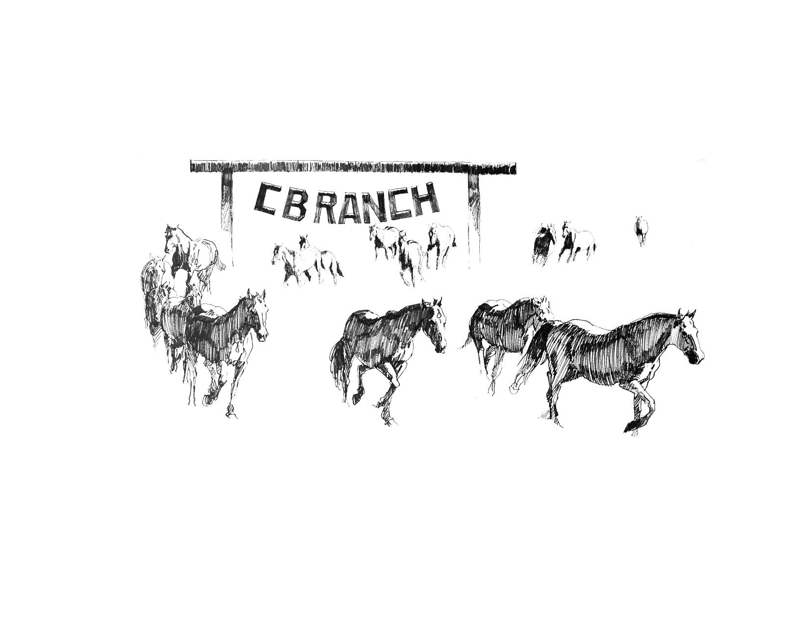 C B Cattle & Guest Ranch | Cameron MT