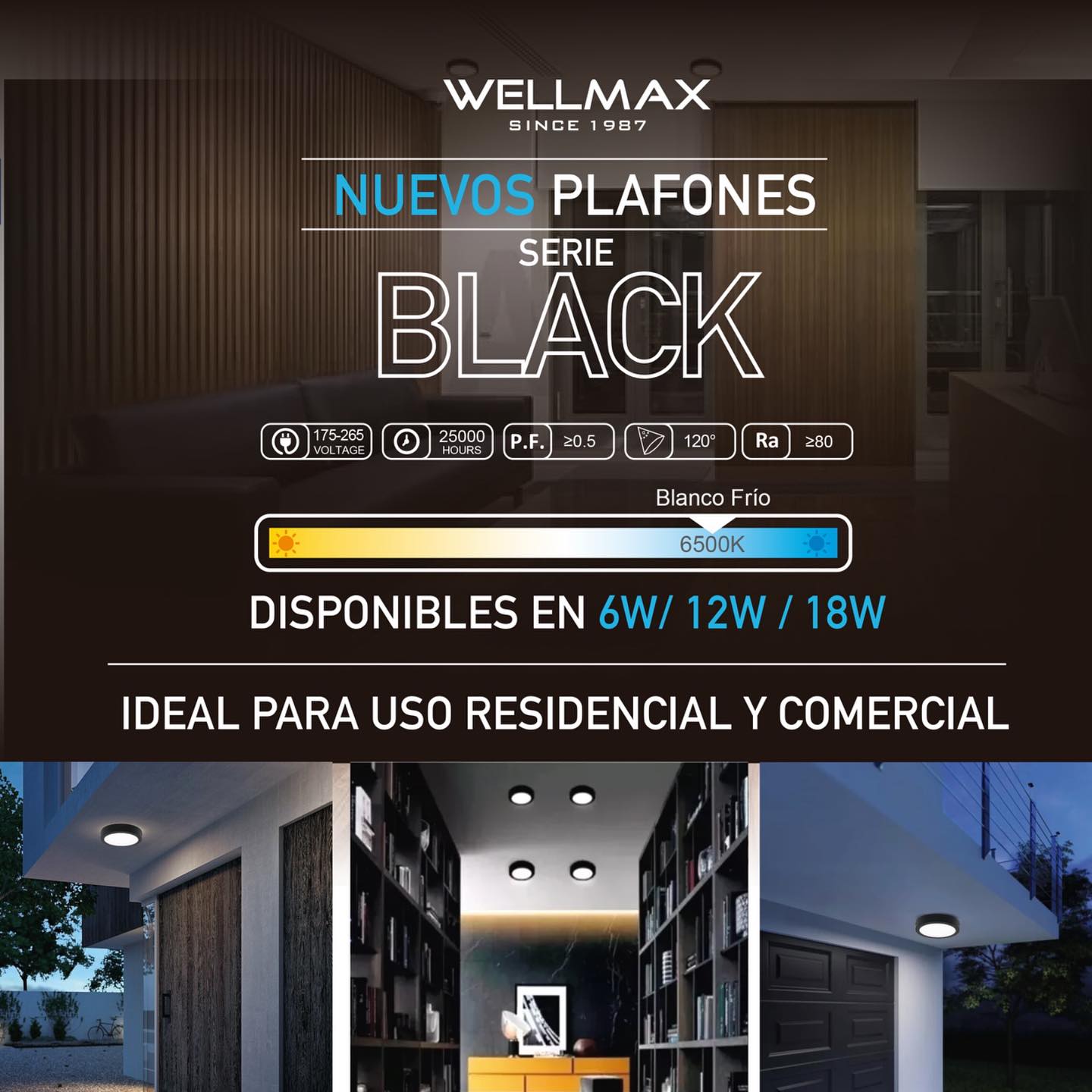 Wellmax Chile | Santiago