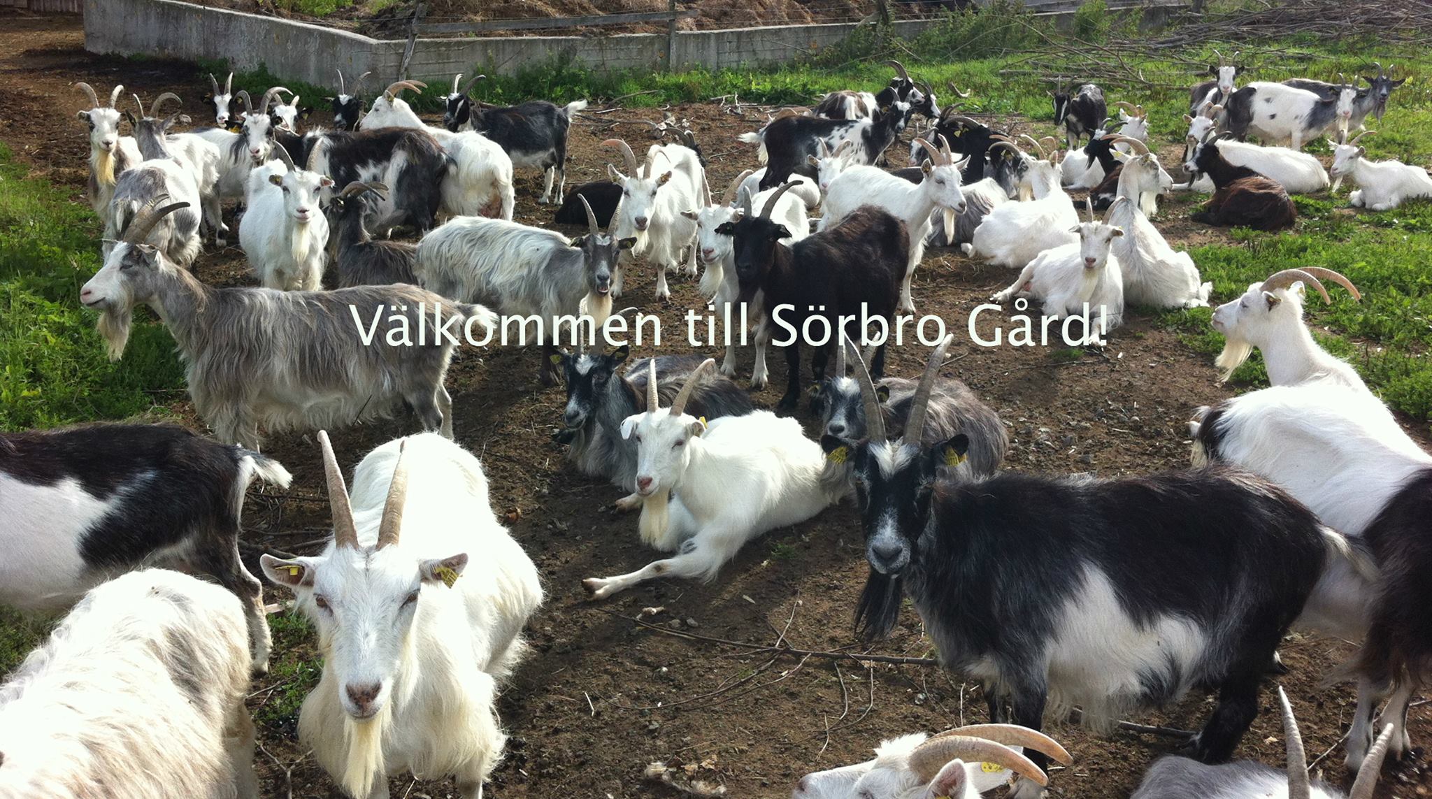 Jordnära kultur - Jordnära kultur added a new photo — at...