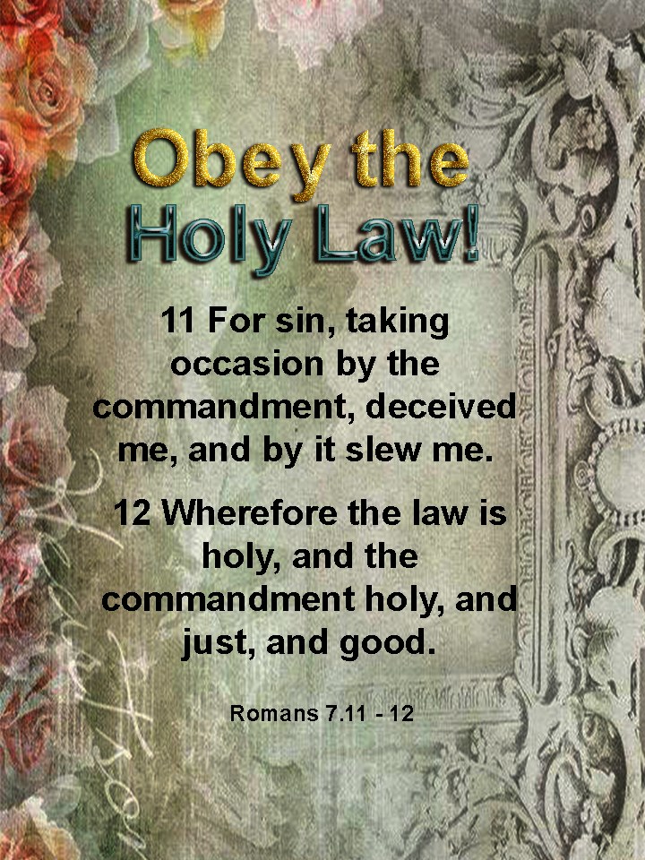 Please Obey The Law. Please obey this important law!