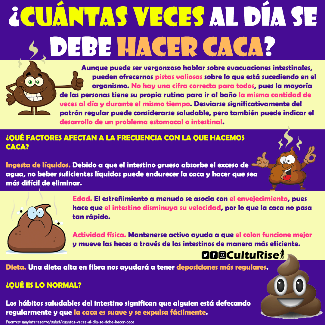 CultuRise - ¿Cuántas veces al día se debe hacer caca?... | Facebook
