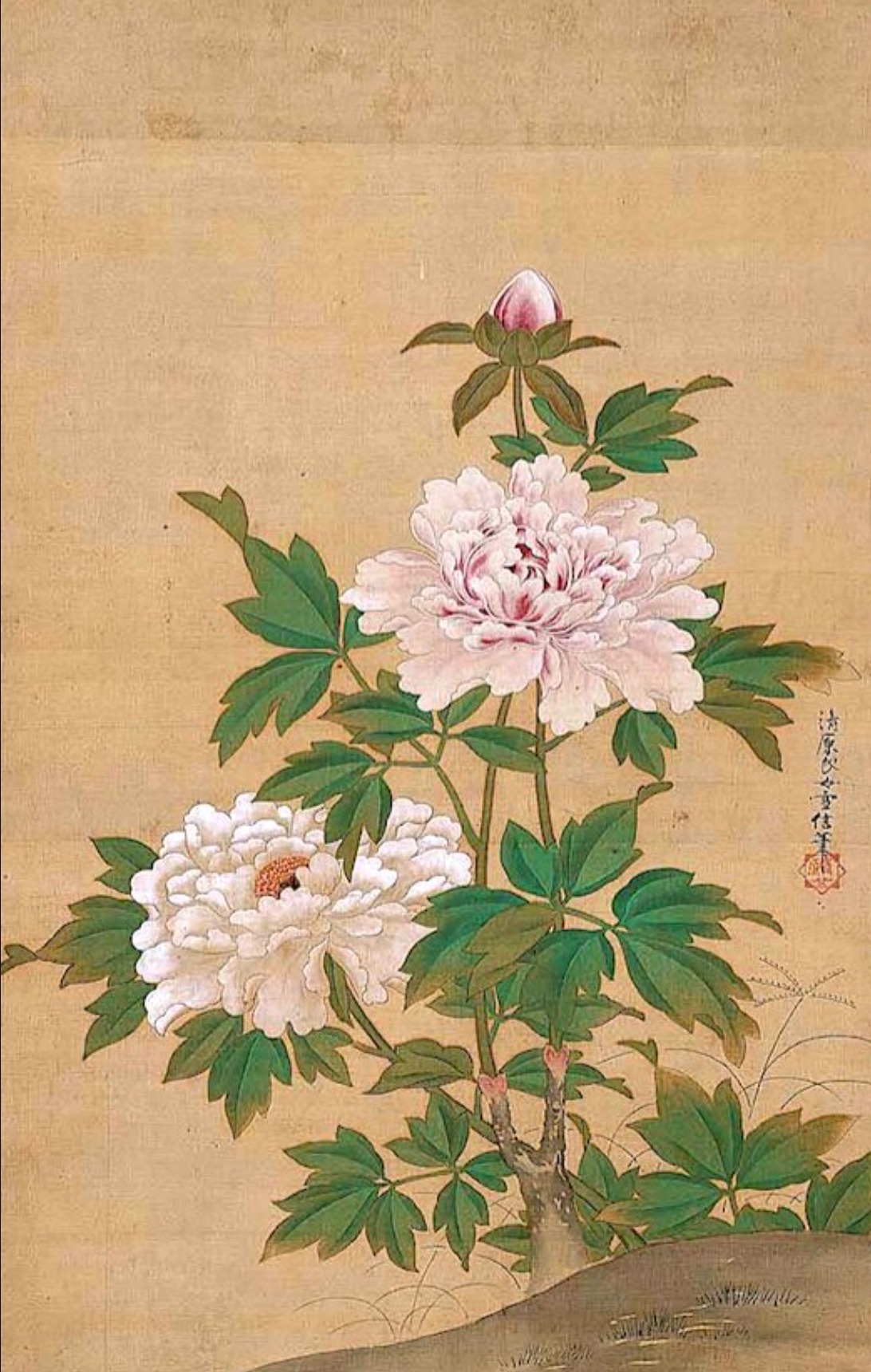 Red and White Peonies