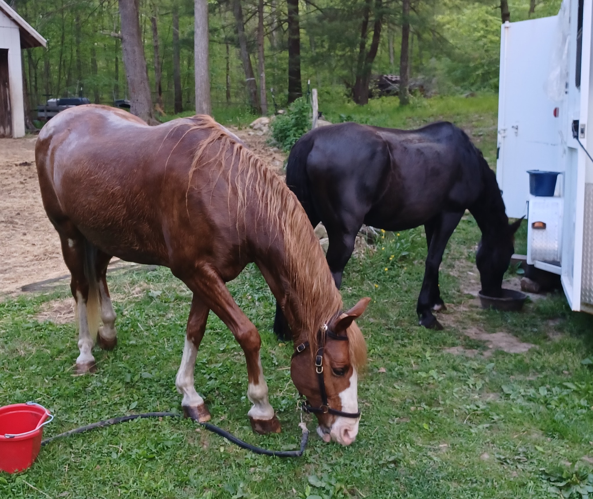 B&B's FARM | Hampton CT
