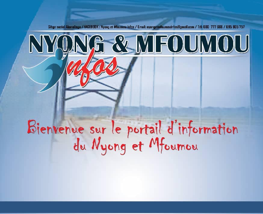 Nyong et Mfoumou INFOS