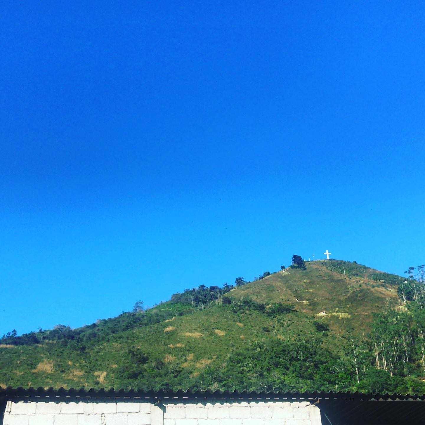 JAG.media - ¡La ciudad fruta… Piñas! La Cruz o La Pata... | Facebook