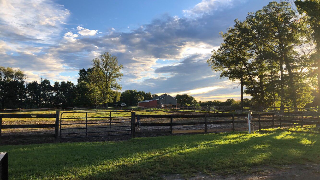 Black Ridge Farm | Middletown NY