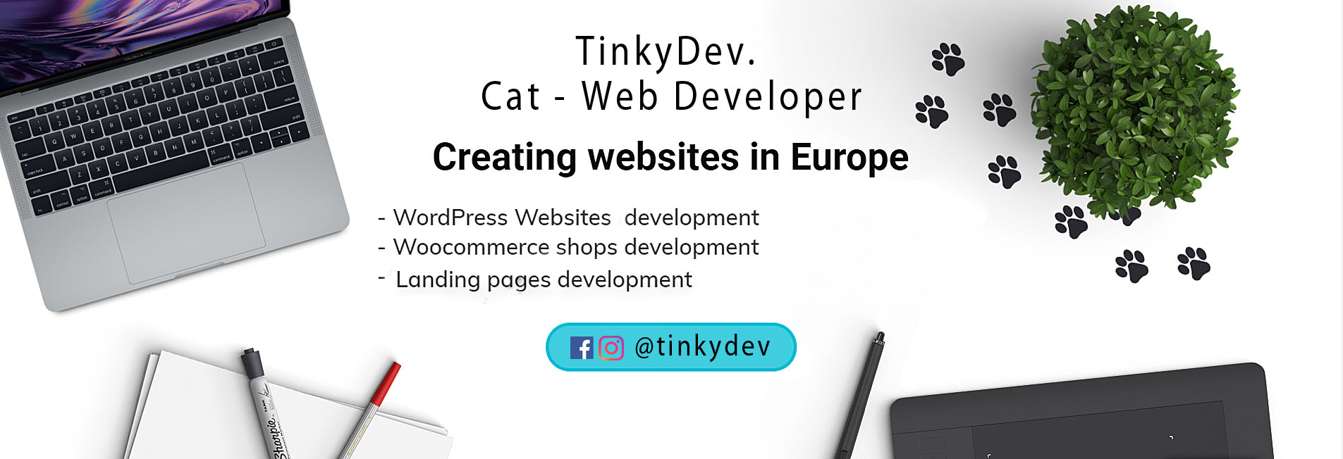 TinkyDev. Cat - Web Developer | Warsaw