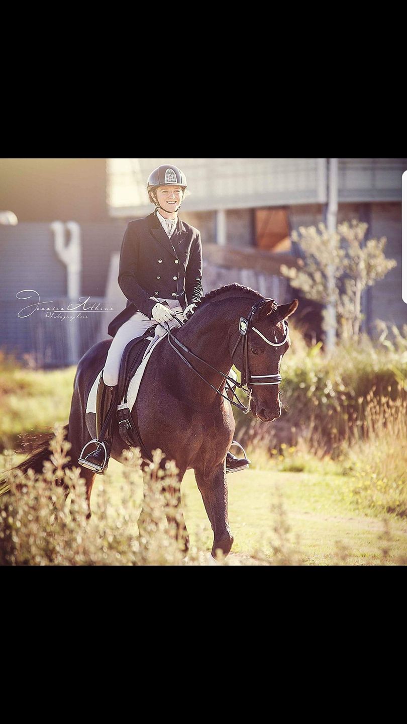 YV Perfomance Horses | Chirnside Park VIC