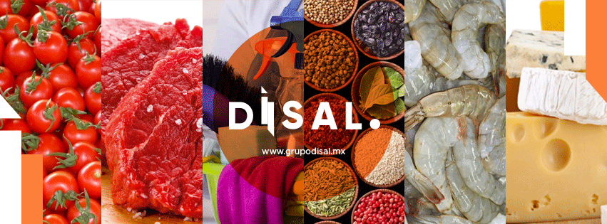 Grupo DISAL Chihuahua | Chihuahua