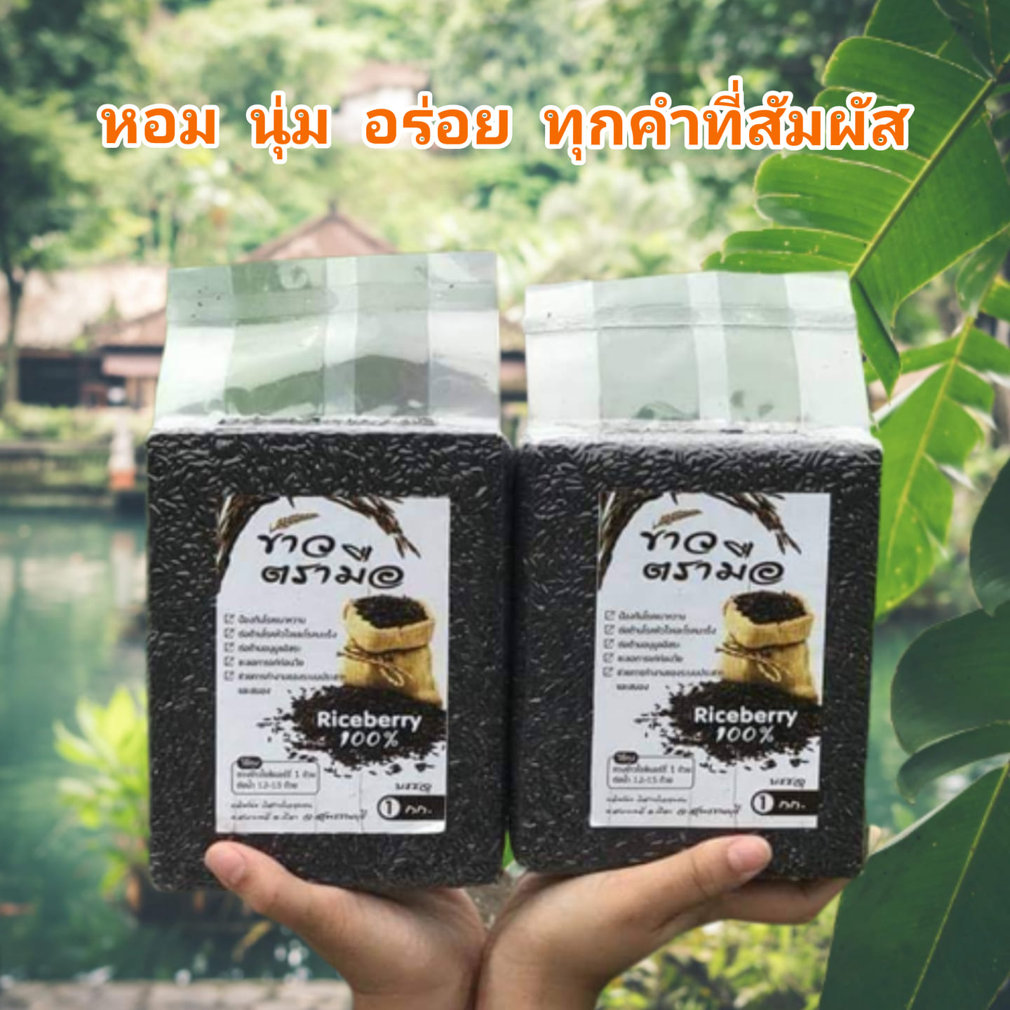 5 กก. 360.- ส่งฟรี ปลายทางฟรี ข้าวไรซ์เบอรี่ ตรามือ อร่อย นุ่ม ...