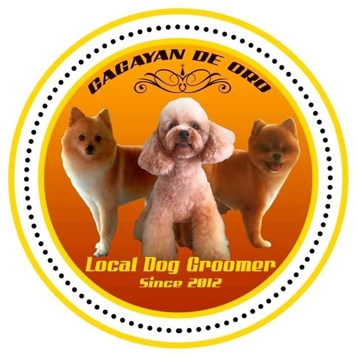 Local Dog Groomer added a new photo. - Local Dog Groomer