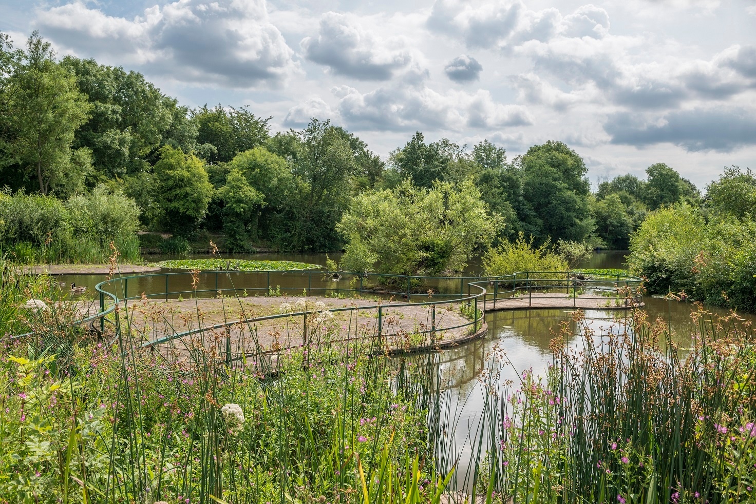 🌳🌲🌸🌱Our Town Park rocks, we need your... - Telford Town Park