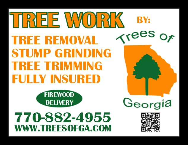 Trees of Georgia Tree Service | Roswell GA