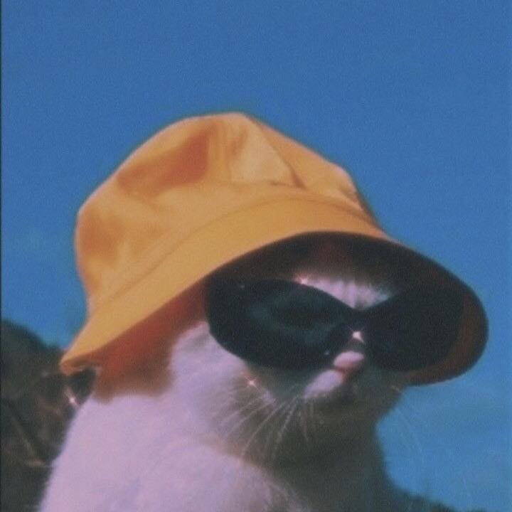 I post random stuff to make me feel better