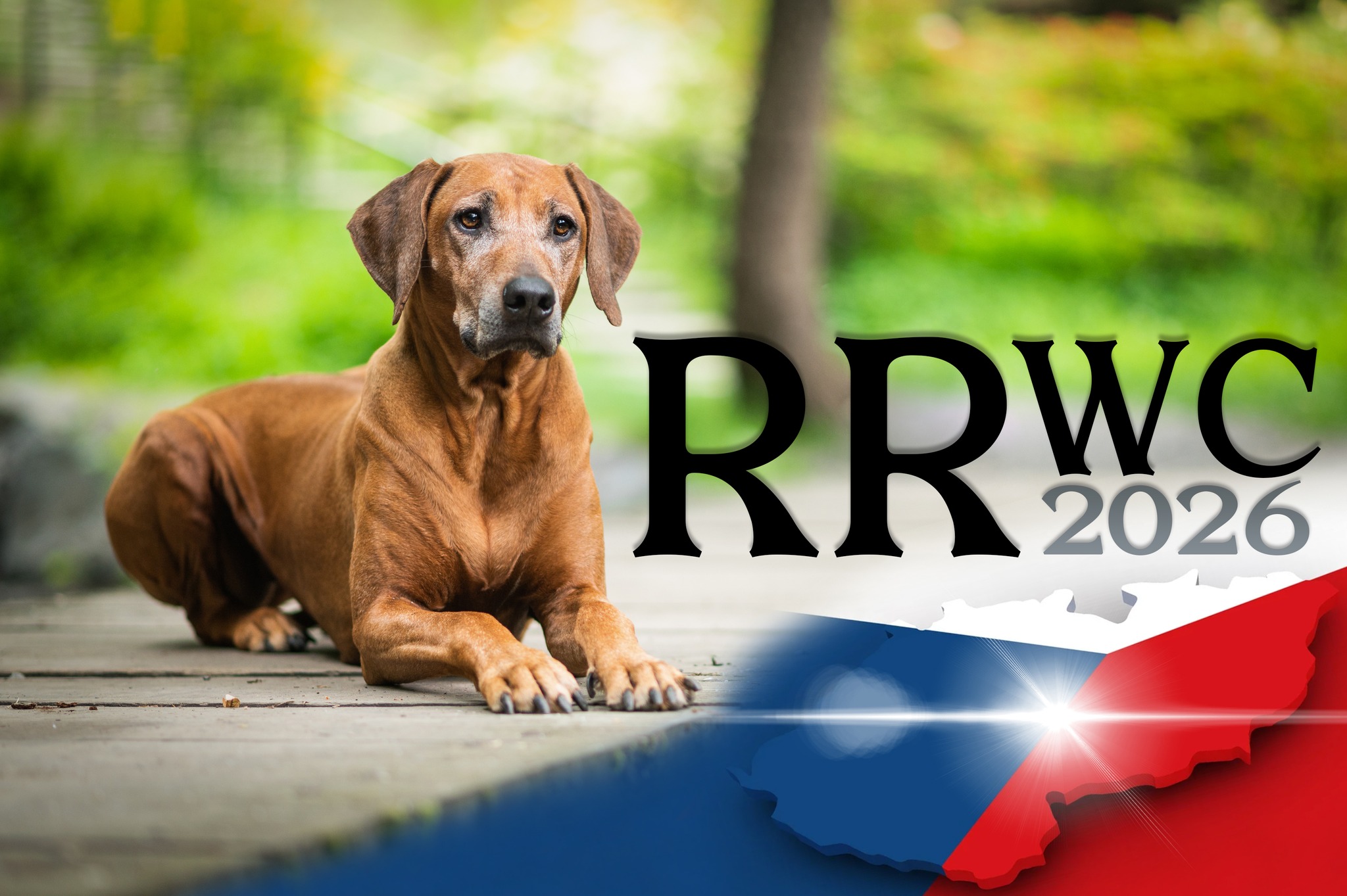 Rhodesian - 𝐃𝐞𝐚𝐫 𝐑𝐡𝐨𝐝𝐞𝐬𝐢𝐚𝐧 𝐑𝐢𝐝𝐠𝐞𝐛𝐚𝐜𝐤 𝐥𝐨𝐯𝐞𝐫𝐬 …. We would like to express ...