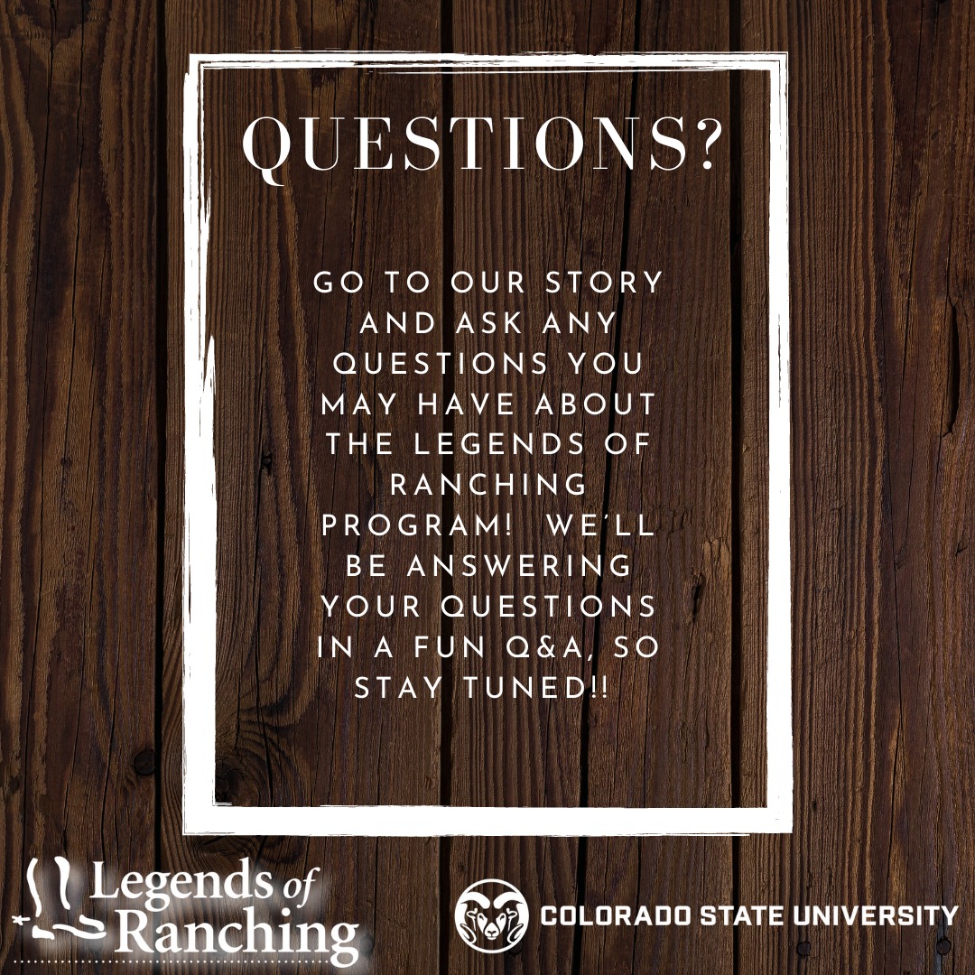 Questions ... - Legends of Ranching Performance Horse Sale | Facebook