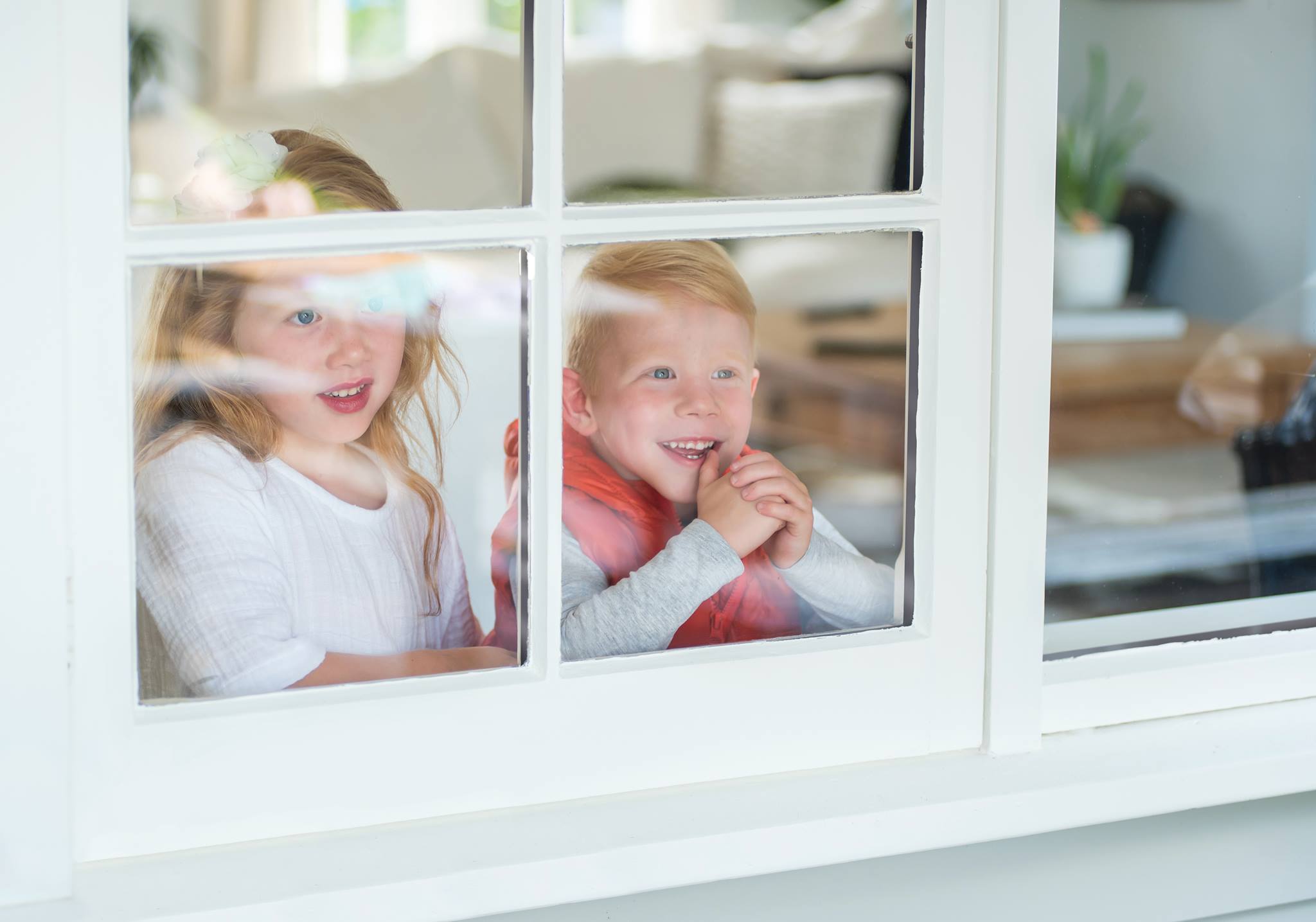 The Double Glazing Company