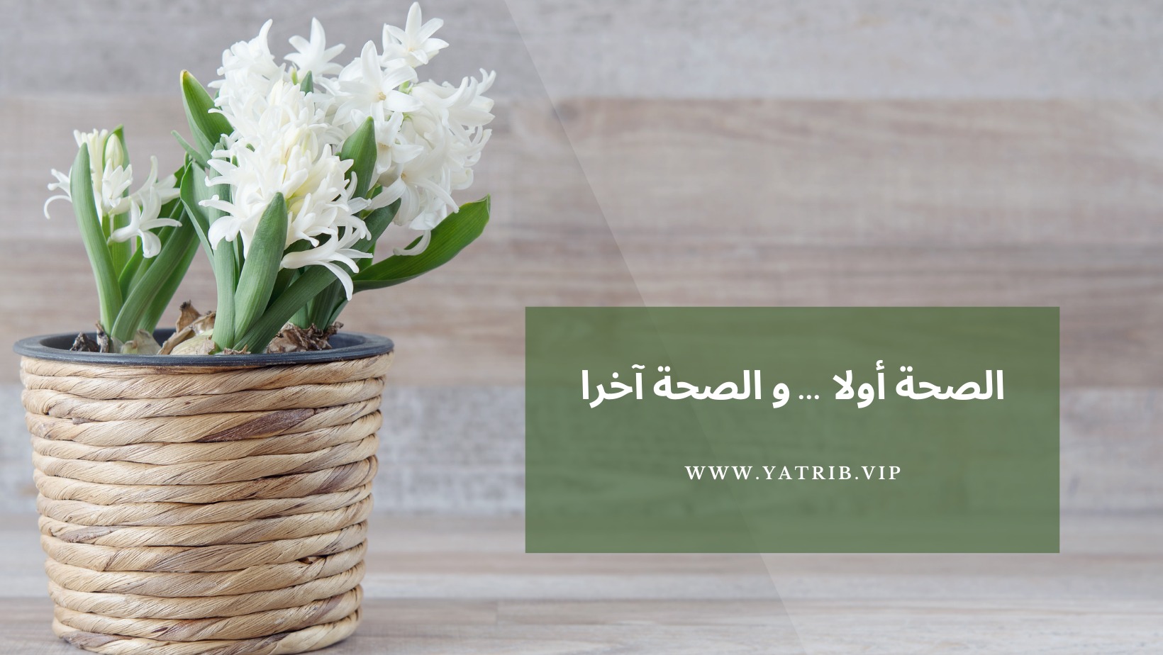 صحتك في غذائك - بالنسبة لتجربتي مع شامبو جانوزي وزيت جانو لي الكثيييير ...