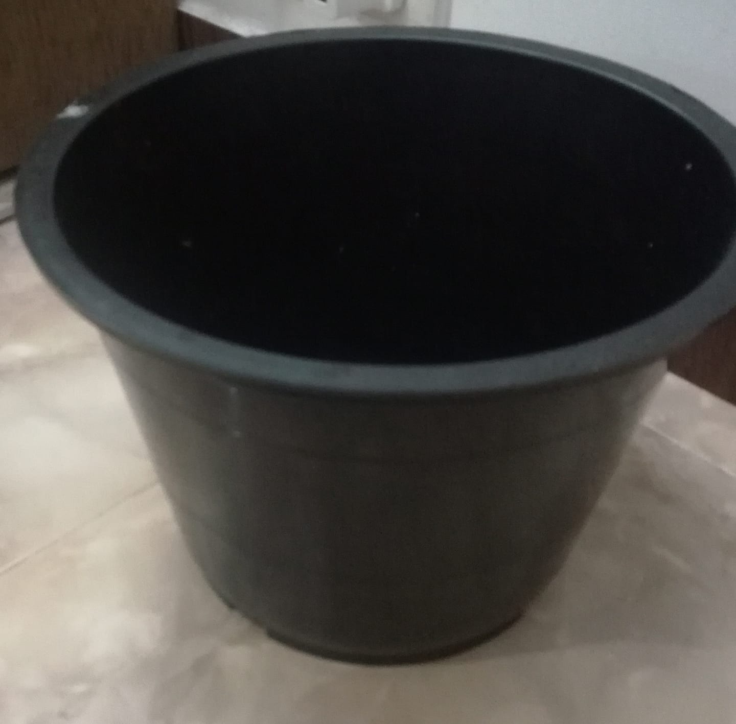 Mal Pochchi - මේ මල් පෝච්චි ගෙදරටම ගෙන්න ගන්න (28cm×20cm), දැන්ම ...