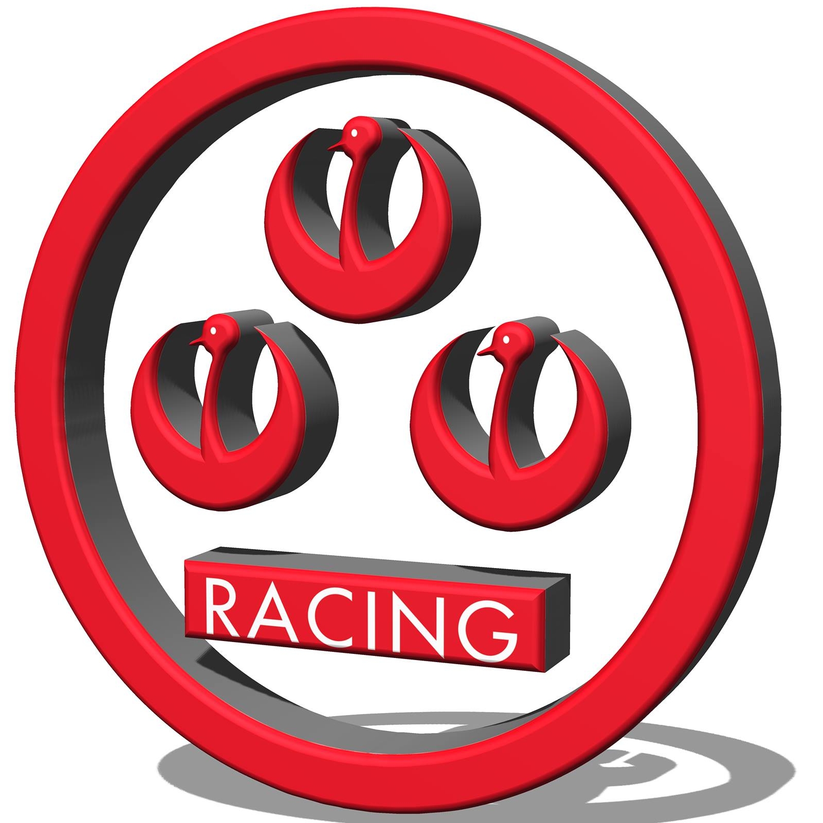株式会社レーシングサービスワタナベ Racing Service Watanabe (@RS 