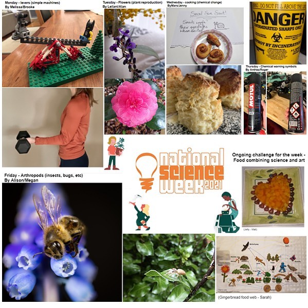 Science Week Challenges - Last... - UC SSC Lake Ginninderra | Facebook
