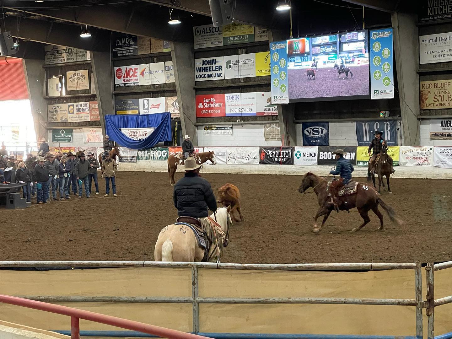 M Three Ranch Company | Red Bluff CA