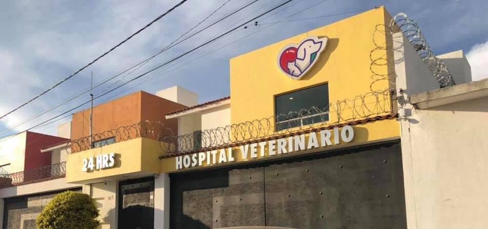 Helpet Servicios... - Helpet Servicios Veterinarios