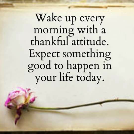 Gloria Hardman Marone (@gloria.hardman.marone) • Facebook, Connect with ...