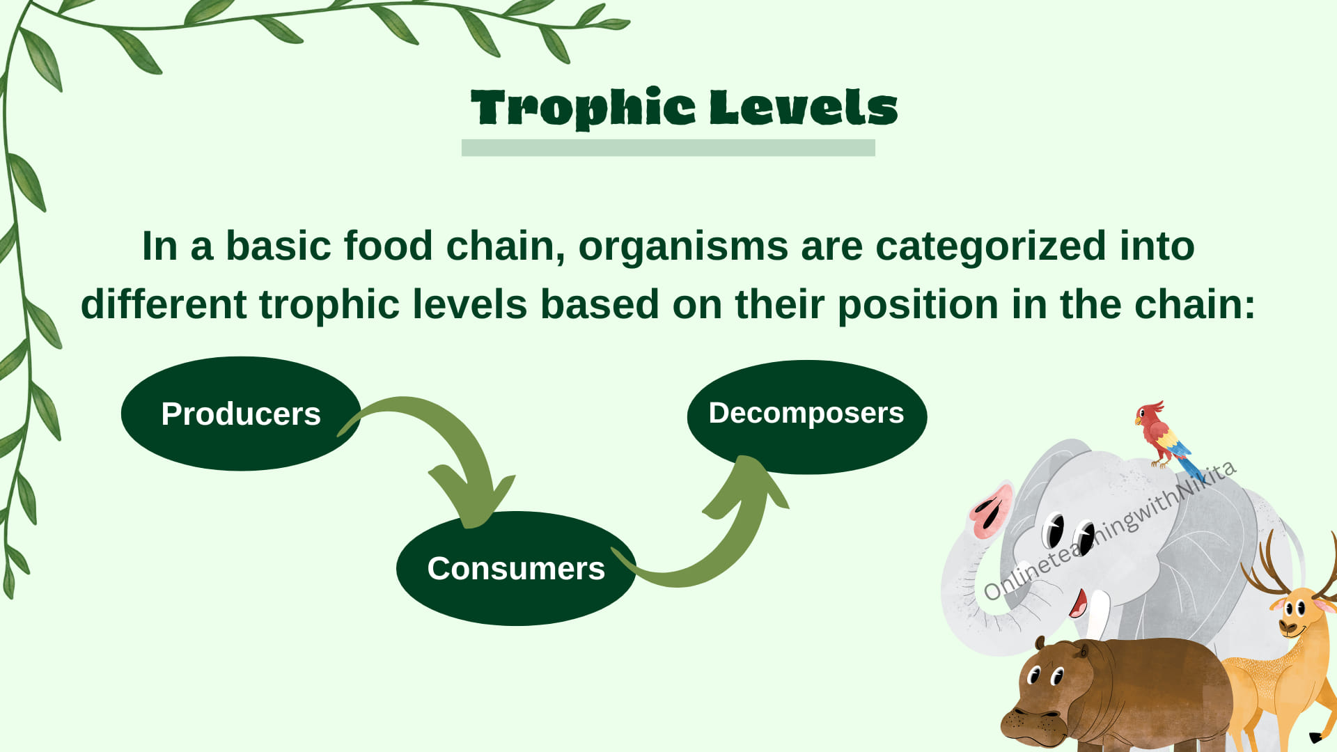Producers Science Definition Producers, Consumers, And Decomposers