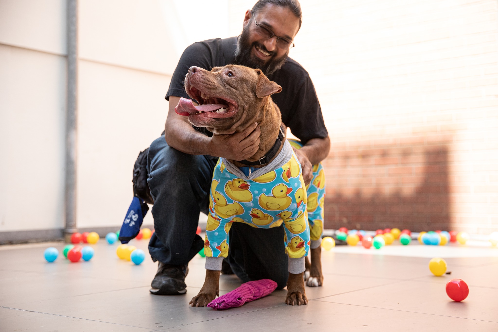 ASPCApro - Happy National Animal Shelter Appreciation Week...
