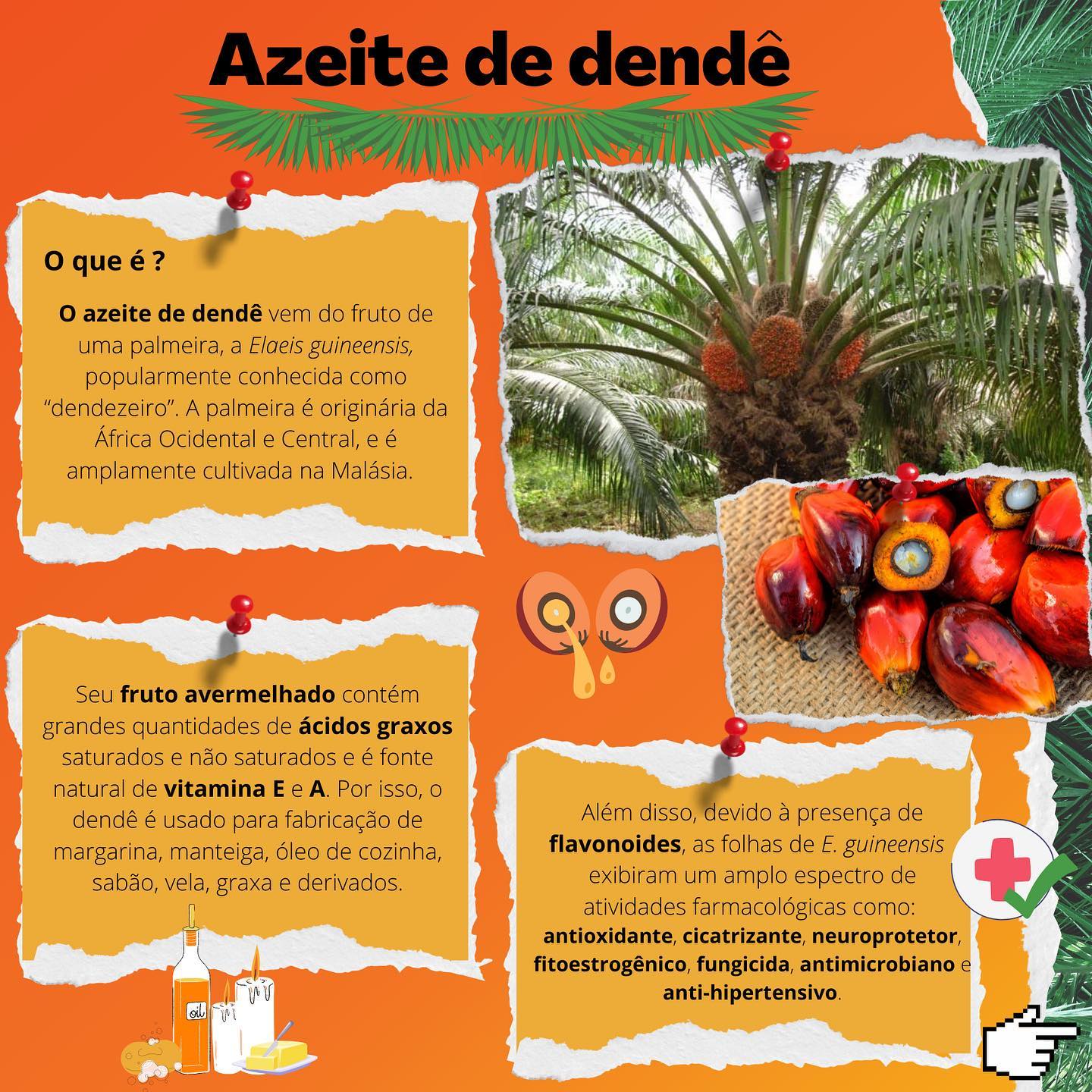 PlantaCiência