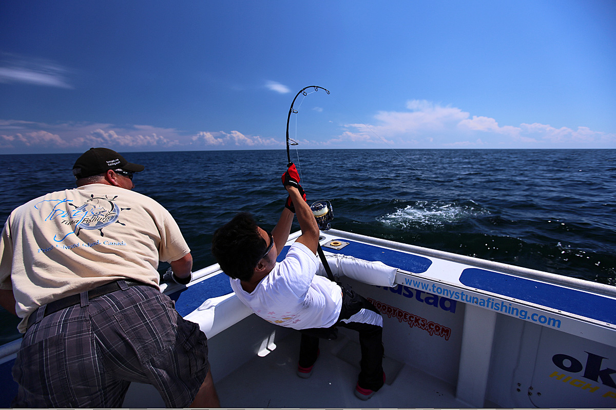 壱岐市マグロ資源を考える会 - クロマグロ型TAC制度とは何か。 TAC （Total Allowable Catch＝漁獲可能量）制度とは ...