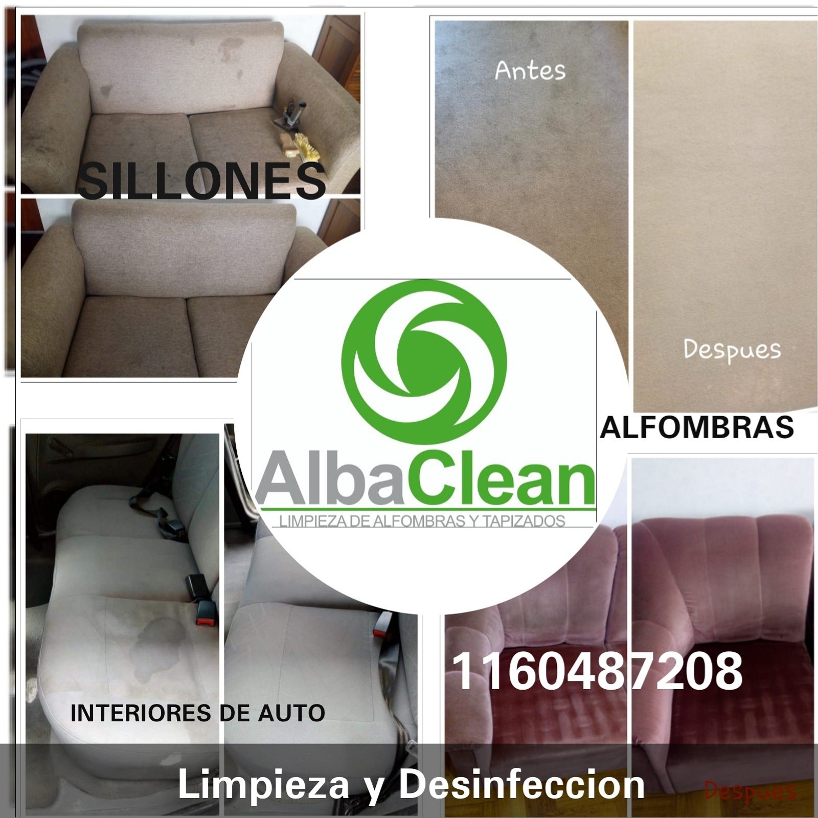 Limpieza y desinfección de alfombras y tapizados Elimine manchas y ...