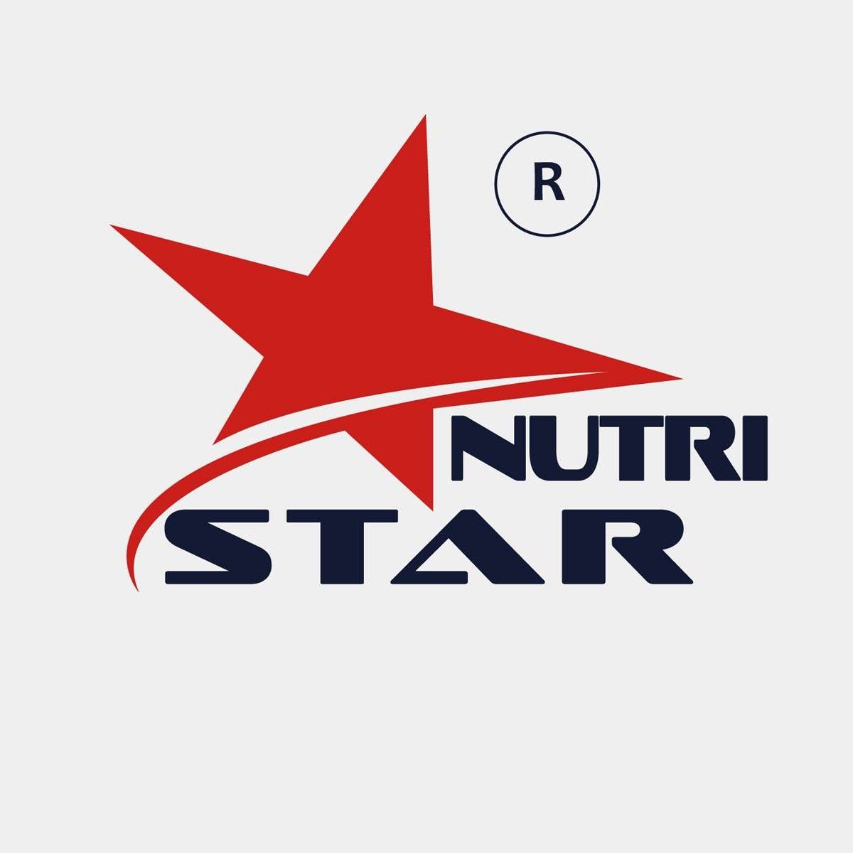 🍲 **Copper Biryani Handi – Traditional Cooking Excellence by Nutristar ...